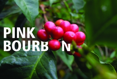 Pink Bourbon