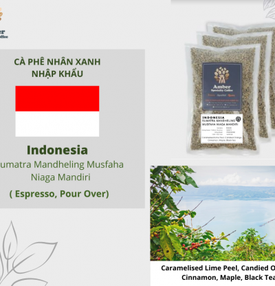 Cà Phê Nhân Xanh Indonesia Sumatra Mandheling Musfaha Niaga Mandiri - 1KG| Amber Specialty Coffee